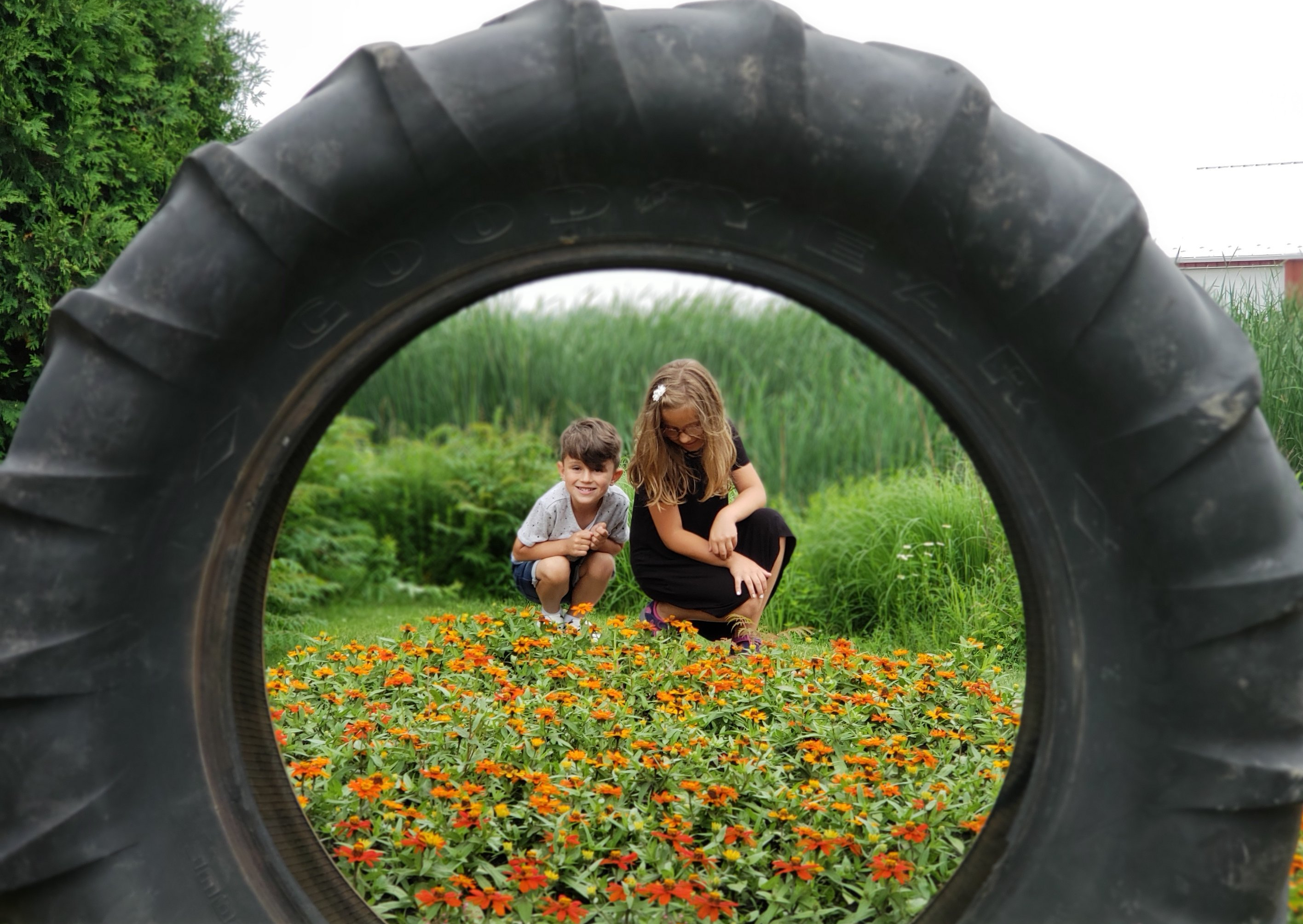 20180611 121051289171354324404796.jpg