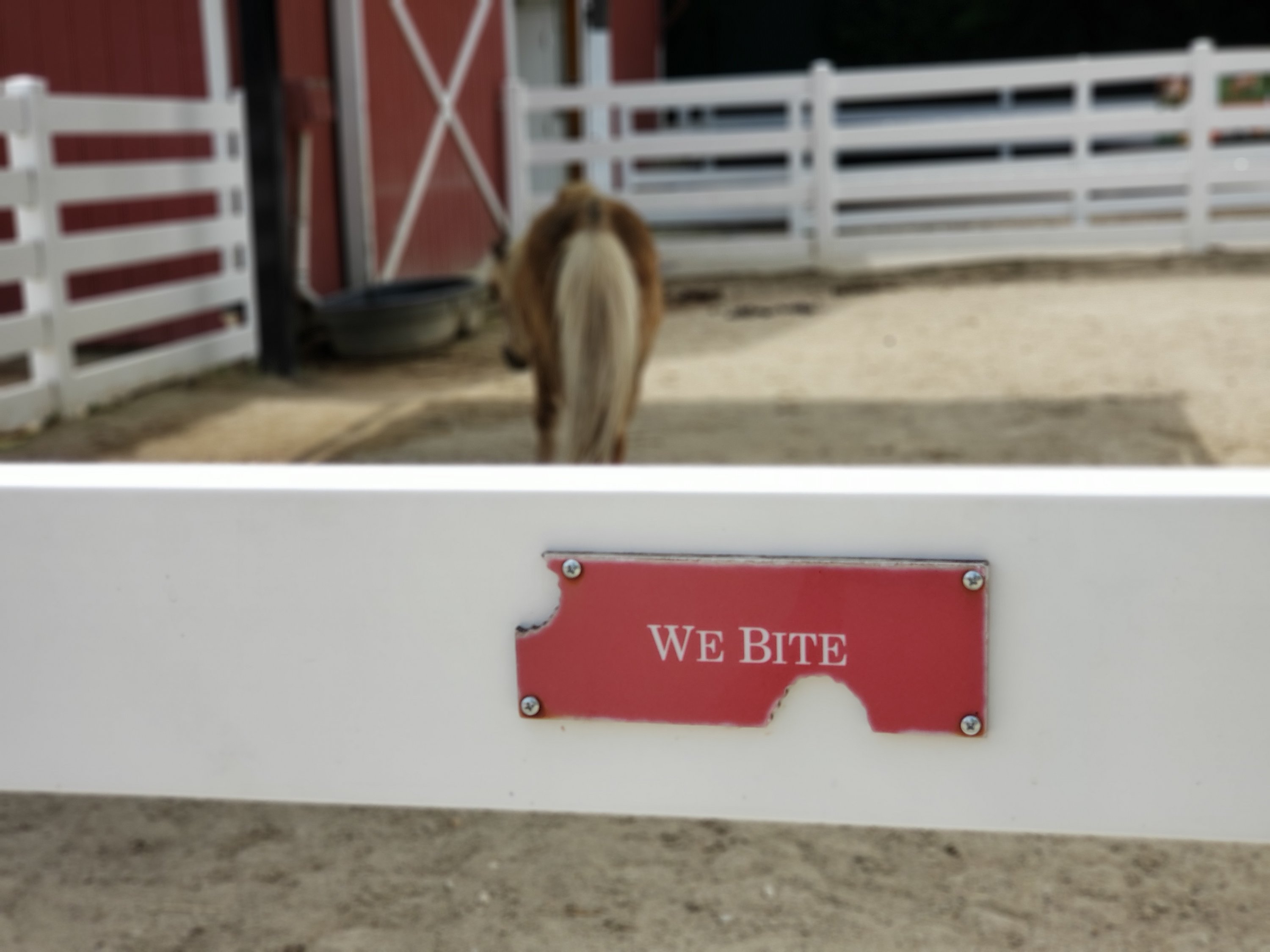 20180727 1351241406963884099697513.jpg